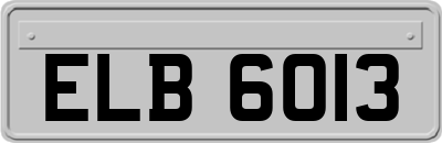 ELB6013
