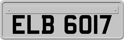 ELB6017