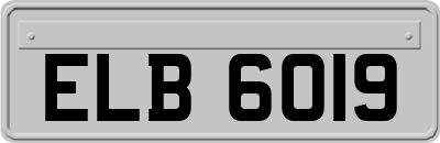 ELB6019
