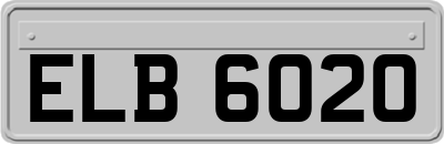 ELB6020