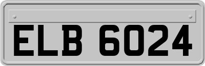 ELB6024