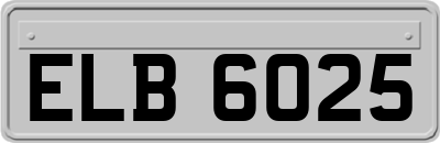 ELB6025