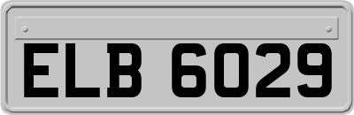 ELB6029