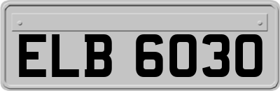 ELB6030