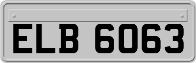 ELB6063