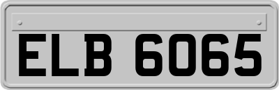 ELB6065