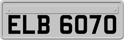 ELB6070