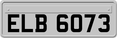 ELB6073