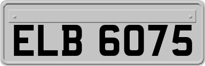 ELB6075