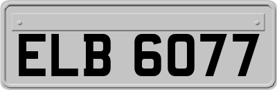 ELB6077