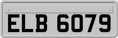 ELB6079
