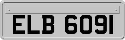 ELB6091