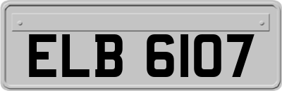 ELB6107