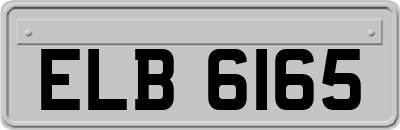ELB6165