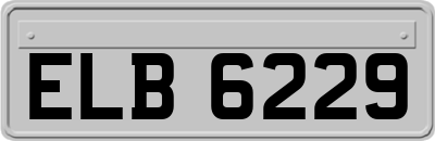 ELB6229