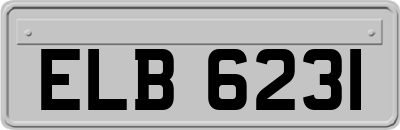 ELB6231