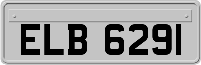 ELB6291