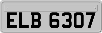 ELB6307