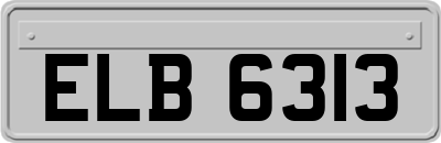 ELB6313