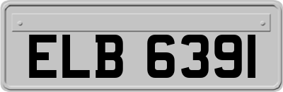 ELB6391