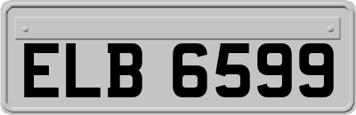 ELB6599