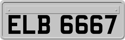 ELB6667