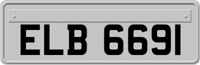 ELB6691