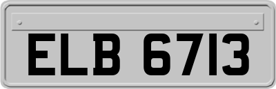 ELB6713