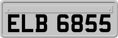 ELB6855