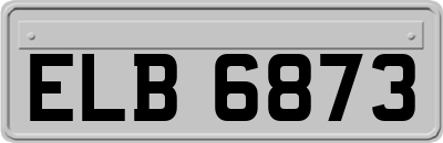 ELB6873