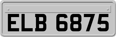 ELB6875