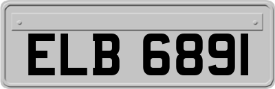 ELB6891