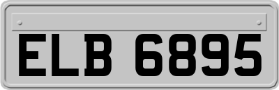 ELB6895