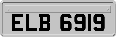 ELB6919