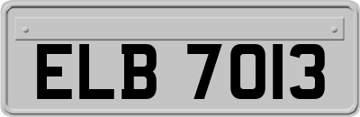 ELB7013