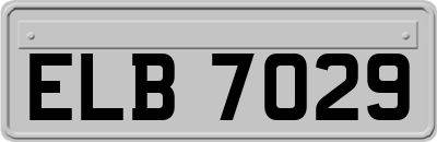 ELB7029