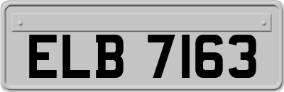 ELB7163