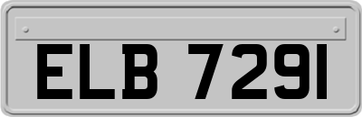 ELB7291