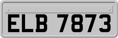 ELB7873