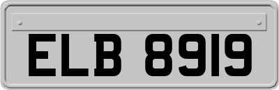 ELB8919