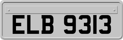 ELB9313