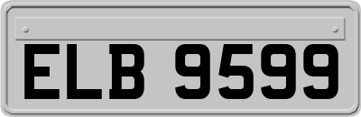 ELB9599