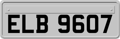 ELB9607