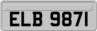 ELB9871