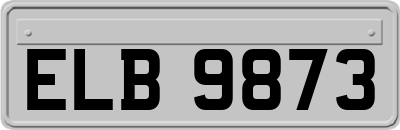 ELB9873