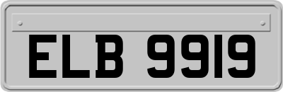 ELB9919
