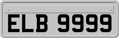 ELB9999