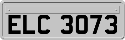 ELC3073