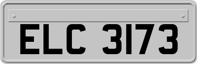 ELC3173