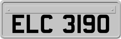 ELC3190